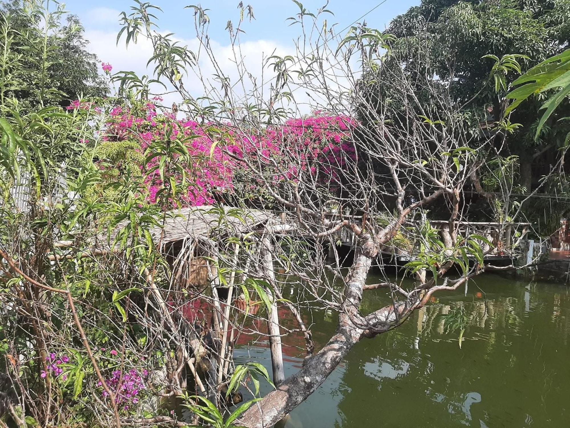 Minh Ngoc Homestay Dien Bien Phu Ban Hin Lom Exterior photo